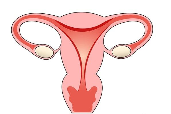 如何调理子宫环境让胚胎顺利着床？