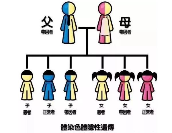 夫妻遗传疾病