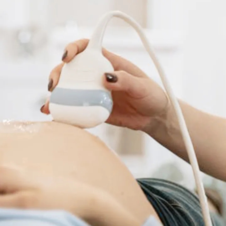 B超检查在试管婴儿周期中都起到什么作用?美国IVF专家为您解析！