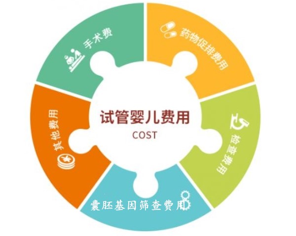 试管婴儿费用
