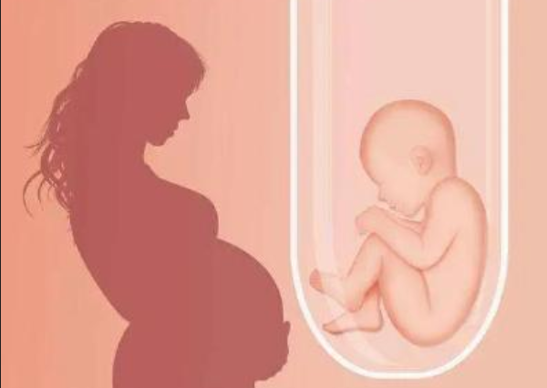 输卵管积水的女性赴美做试管婴儿，有什么样的方案？