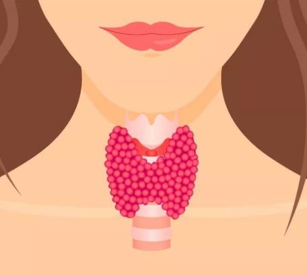 女性甲状腺