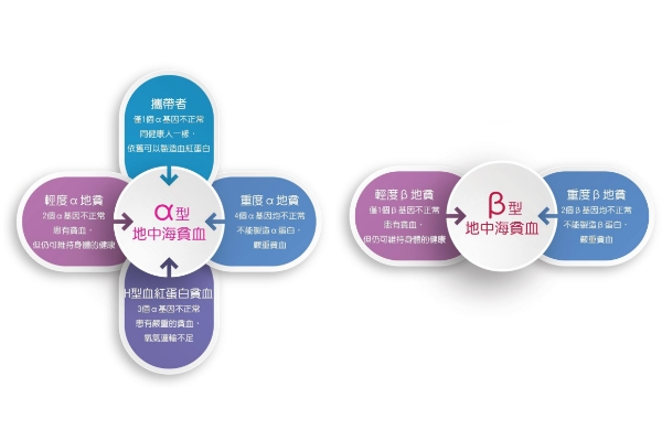 地中海贫血