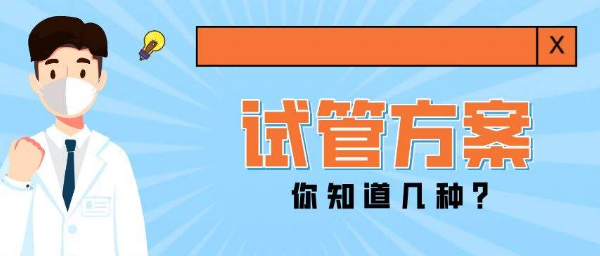 赴美试管婴儿方案