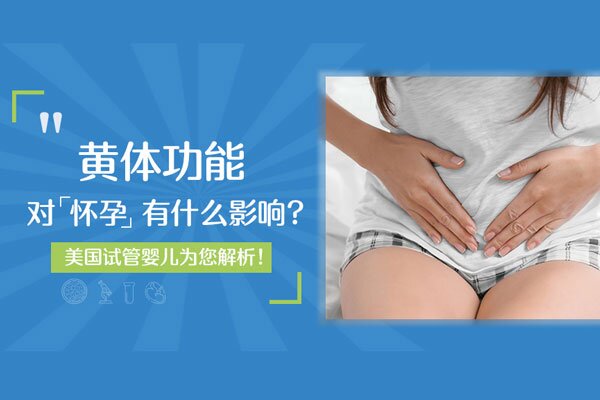 黄体功能