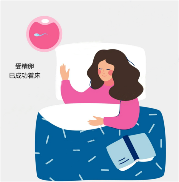 胚胎移植