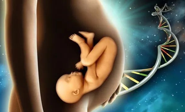 第三代试管婴儿生育检查宝宝