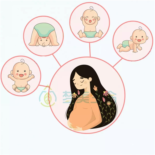 胎动规律