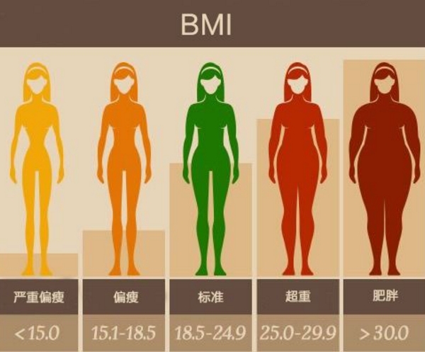 BMI身体指数
