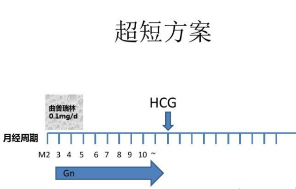 微促方案
