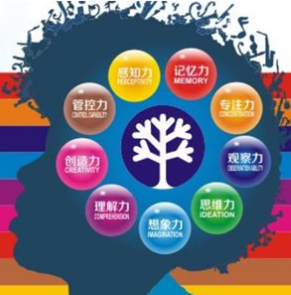 宝宝智力