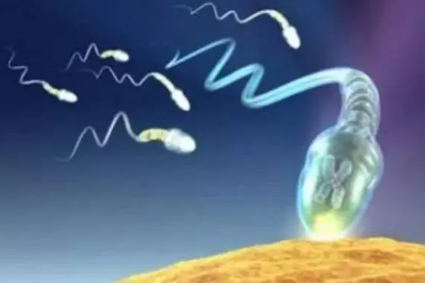 精子
