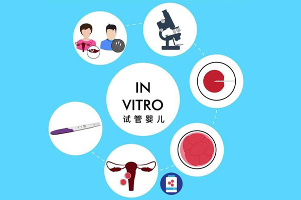 美国试管婴儿技术