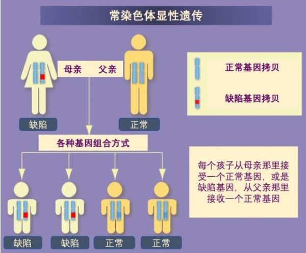 遗传