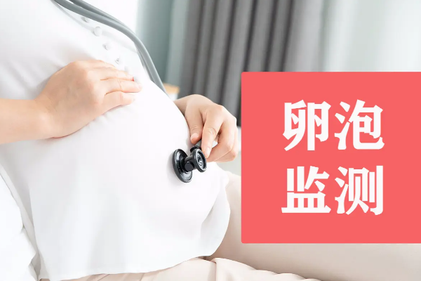 卵泡监测