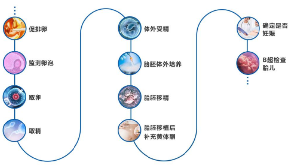 试管方案