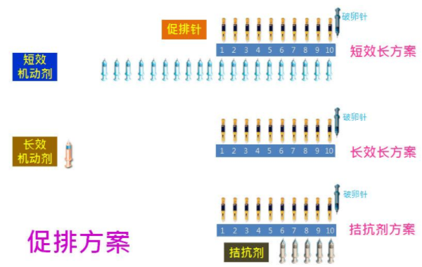 大促试管方案