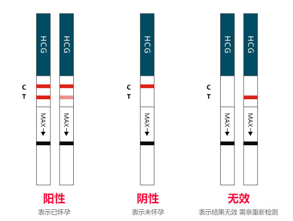 验孕