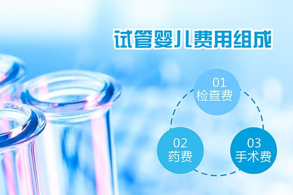 美国试管婴儿医院费用