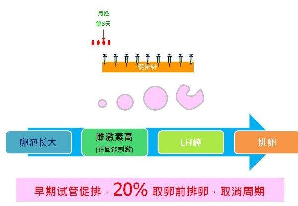 拮抗剂药物
