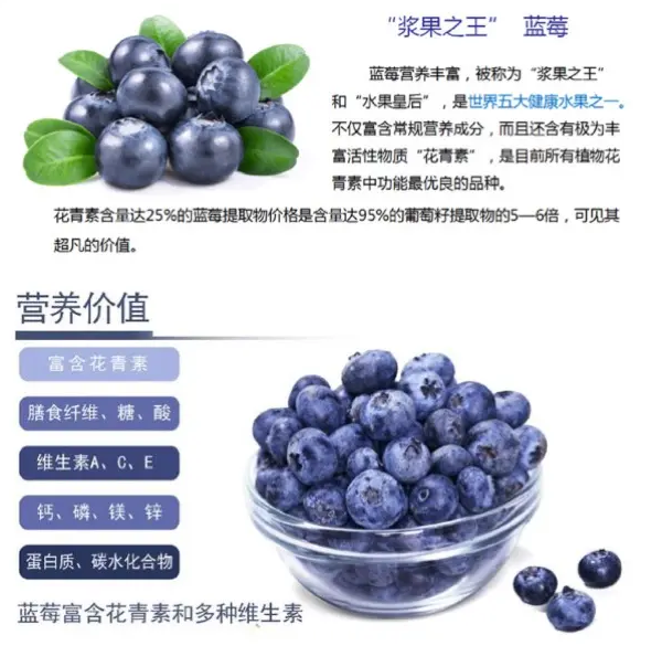 蓝莓营养价值