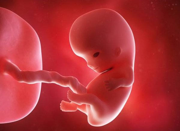 叶酸对胎儿的影响