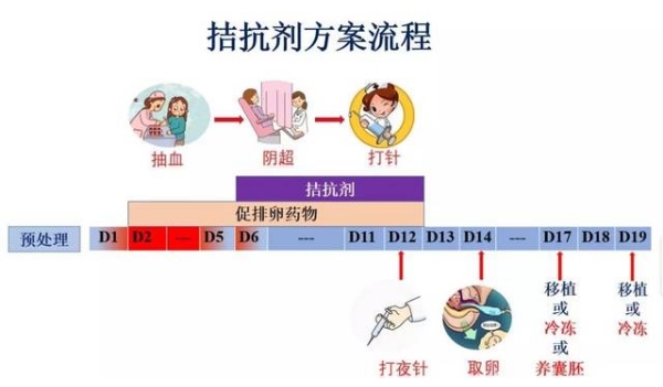 拮抗剂