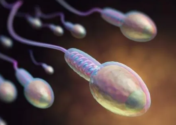精子洗涤