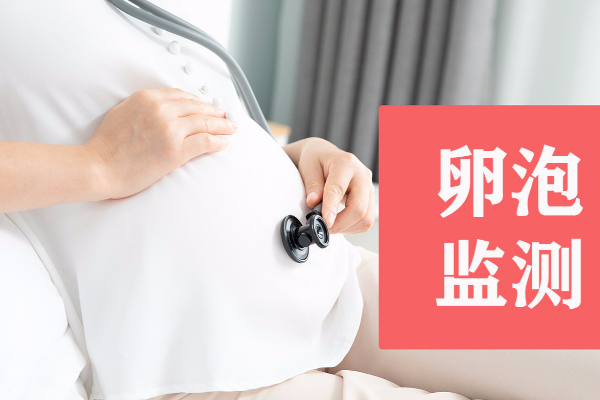 卵泡监测