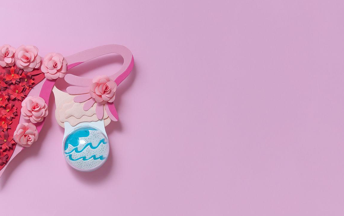 排卵环节