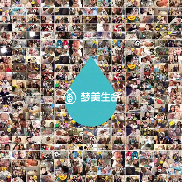 美国试管案例