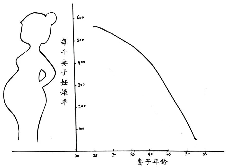 女性妊娠率下降