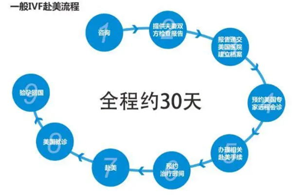 赴美试管