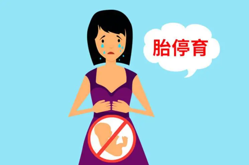 染色体异常胎停育