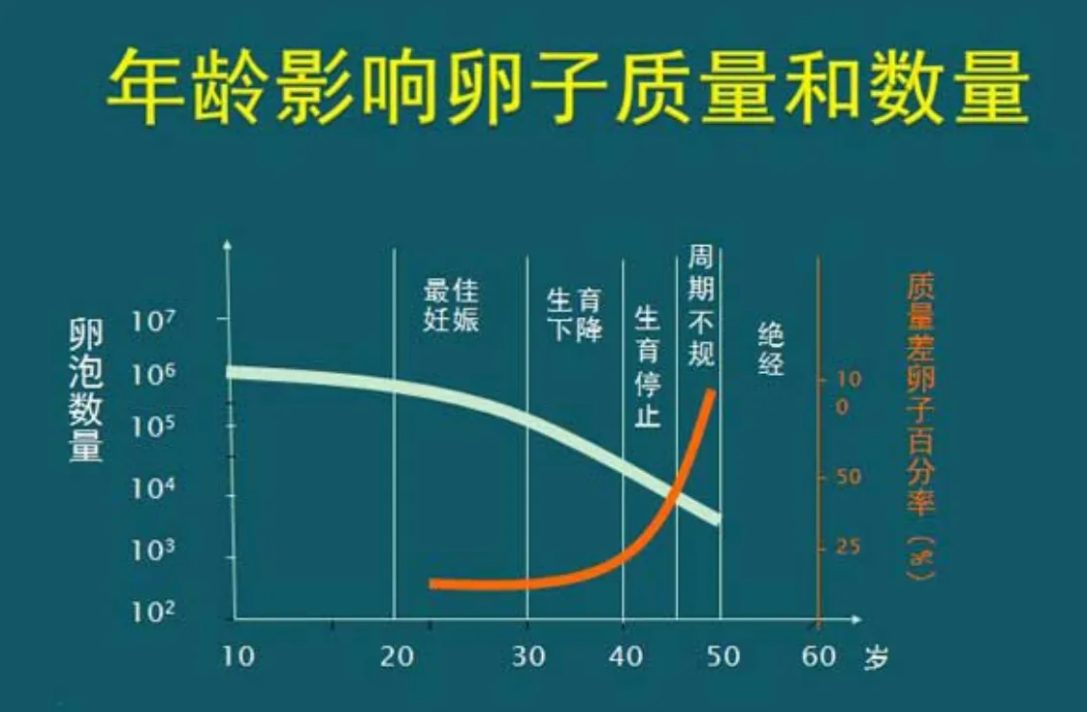 年龄与生育