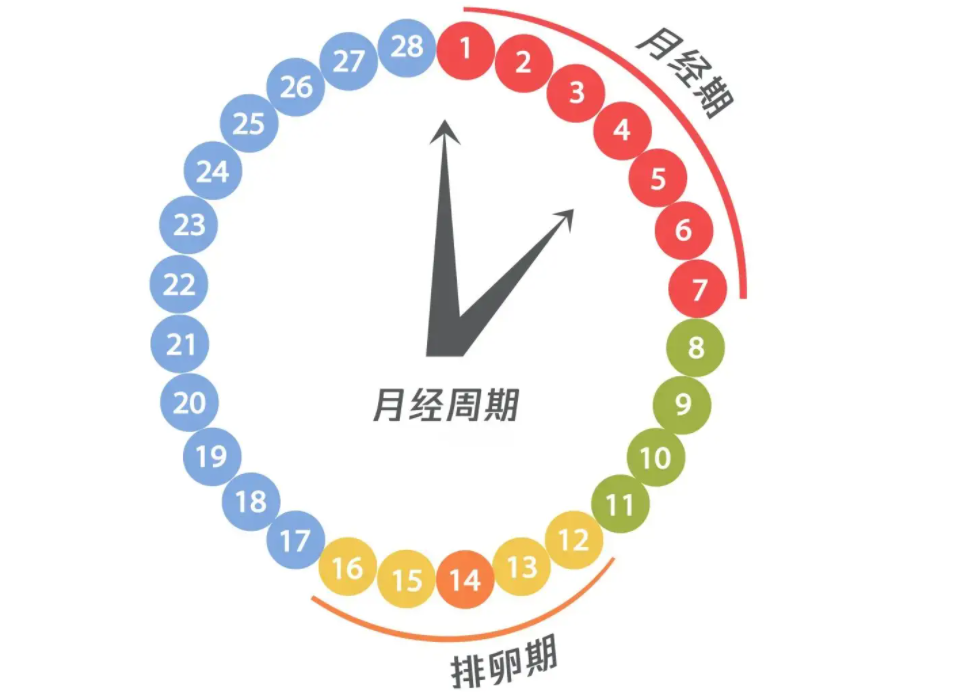 月经时长