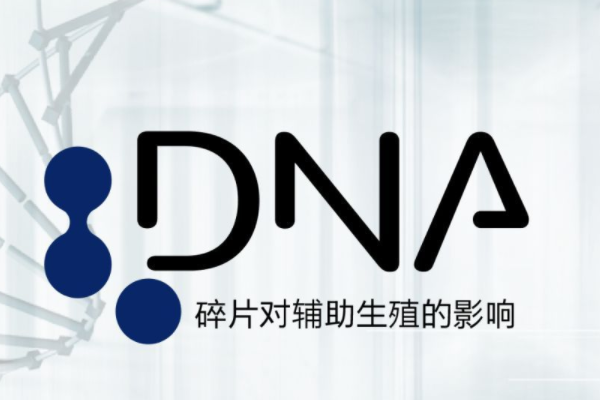 精子DNA碎片