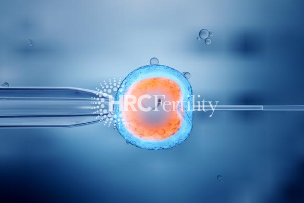 ICSI-内黄_hrc600副本.png