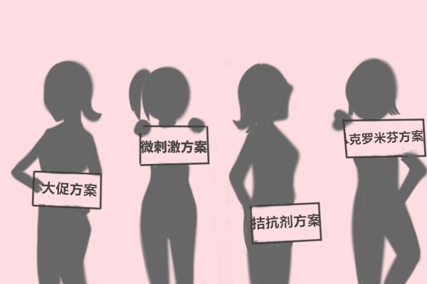 试管诊疗方案