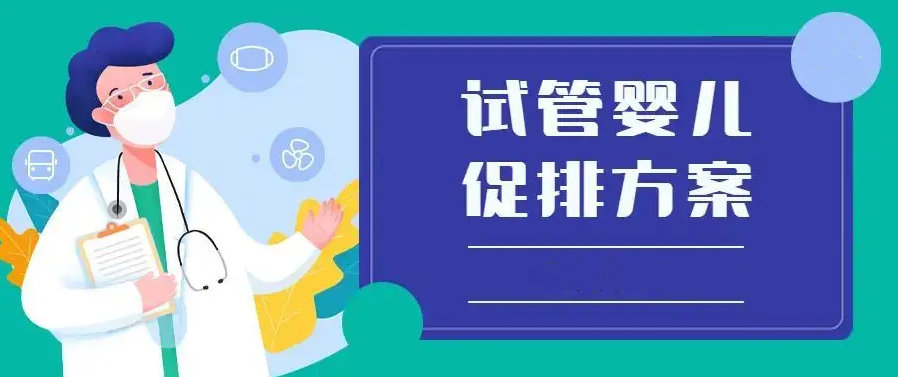 试管方案