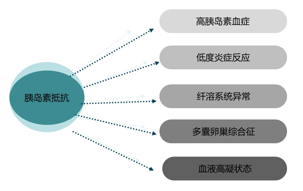 胰岛素抵抗