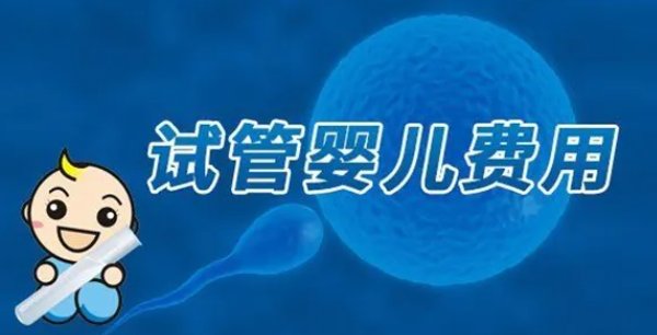 试管婴儿费用