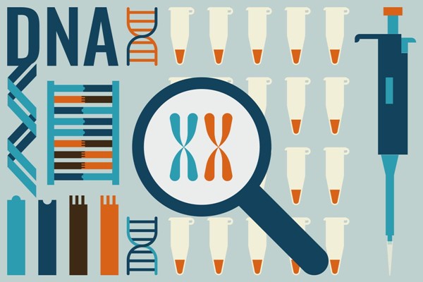 DNA