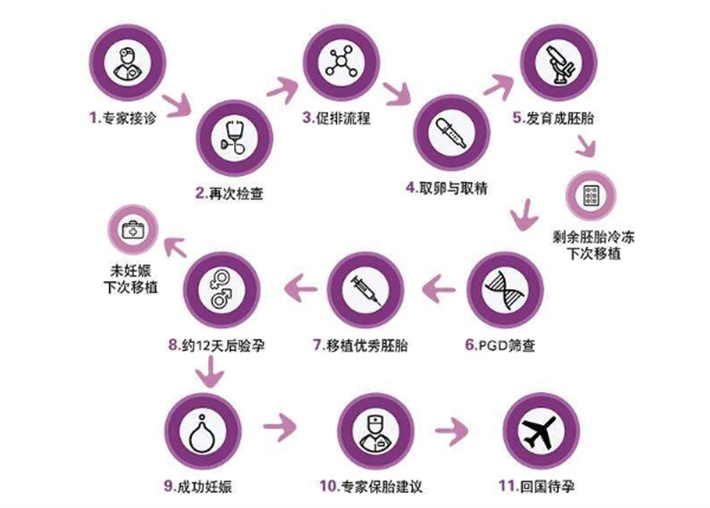 试管流程