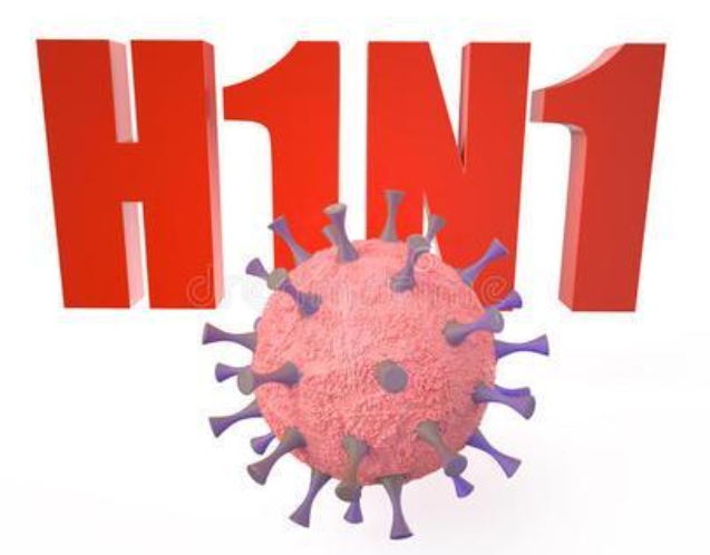 甲型H1N1 流感