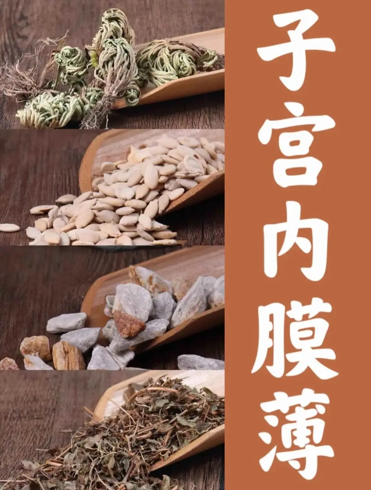 中医治疗子宫内膜薄