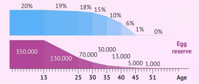 年龄与卵子数量