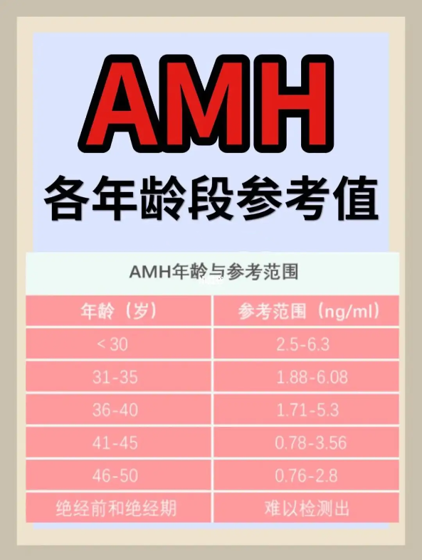 amh值