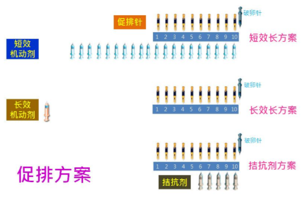 促排卵方案