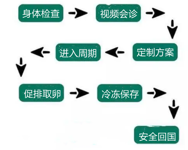 生育力保存流程